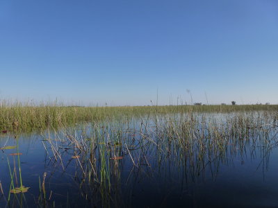 Okavango River Delta