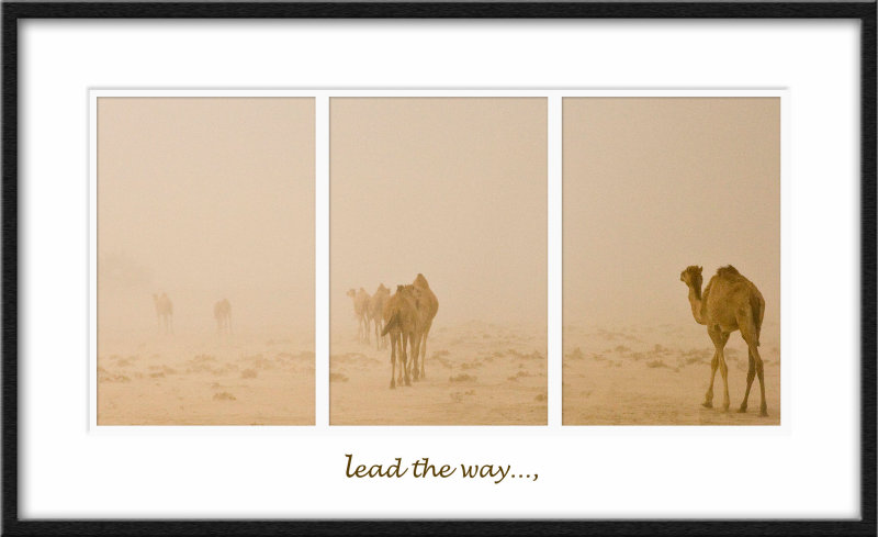 Lead the way..,