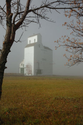 Osage SK - Fogged In