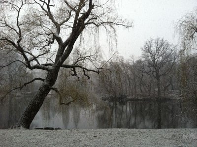 g2/72/770172/3/149296589.ZhYK1imG.jpg