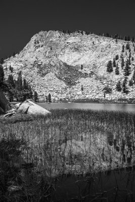 Golden Trout Wilderness