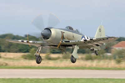 D2X_0279.jpg