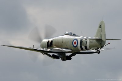 D2X_0287.jpg