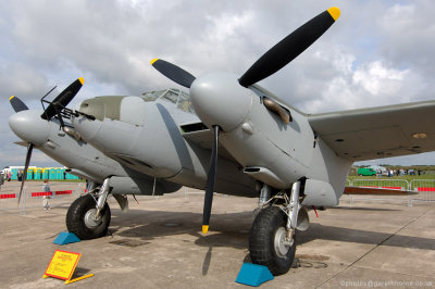 D2X_9993.jpg