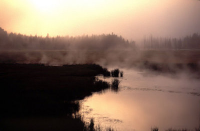 Yellowstone