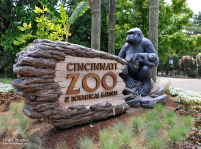 Cincinnati Zoo