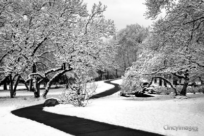 Cincinnati Parks