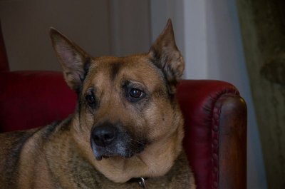 IMGP0010.jpg