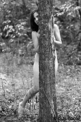 Bashful Wood Nymph