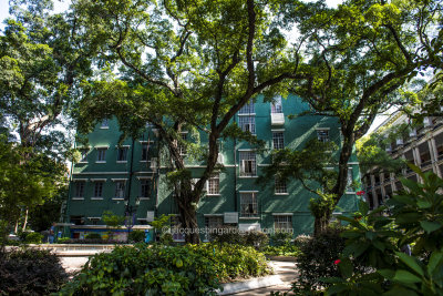 Lush Green Shamian & Historic Architecture