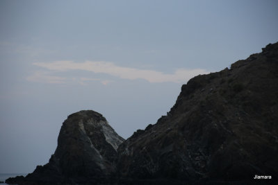 IMG_1774.JPG