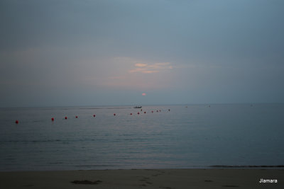 IMG_1791.JPG