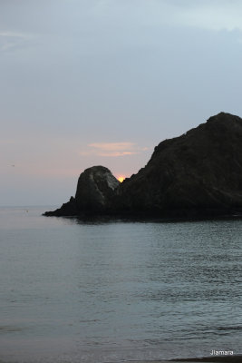 IMG_1803.JPG