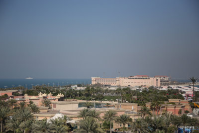 IMG_3329.JPG