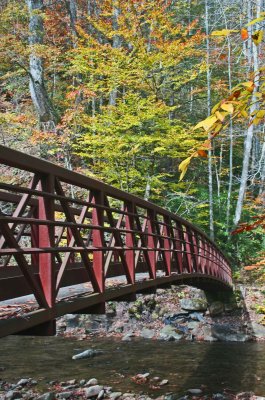 Sunlit Bridge Crossing North Fork Cherry River v tb1012wjr.jpg