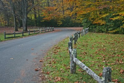 Mid Autumn Scene North Bend Picnic Area tb1012wgr.jpg