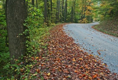 Woodbine Rd Snaking thru Big Barranshe Run tb1012kfx.jpg