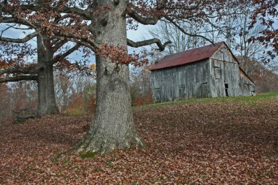 Antique Barn near Large Oaks Sinking Creek Rd tb1012kqx.jpg