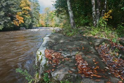 Williams River Flowing thru Autumn Forest and Stone tb1012kxx.jpg