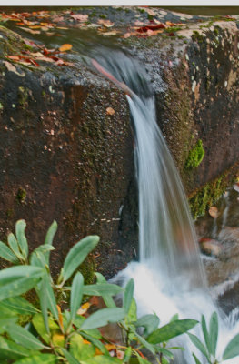 Mini Water Falls Pouring into Rhodadendron Bushes v tb 1012ydr.jpg