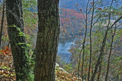Twin Oaks Overlooking Greenbrier River in October tb1012kbx.jpg