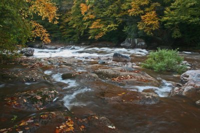 Multitudes of Swiftwater Rippling thru Autumn Williams Valley tb1012ybr.jpg