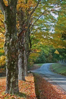  WV October Foliage and Extras