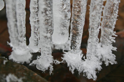 Mini Icicle Cluster in Tiny West Virginia Stream tb0213bkr.jpg