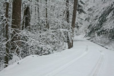 Jakeman Rd Bending thru March Snow Scene tb0312bgr.jpg