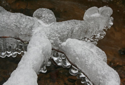 Ice Angel Suspended above Frigid WV Stream tb0213blr.jpg