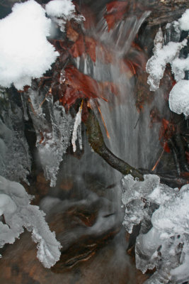 Icy Small Stream with Stones and Leaves v tb0213bmr.jpg