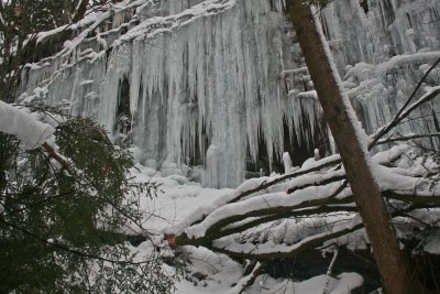 Ice Wall among Hemlock and Branches tb0213dbr.jpg