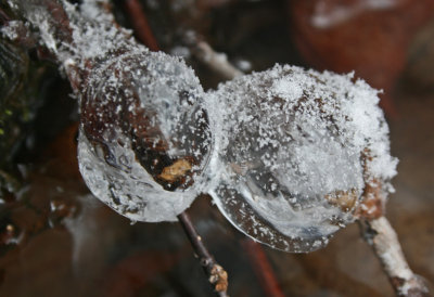 Frozen Globes with Snow Flakes in Mtn Creek tb0213dir.jpg