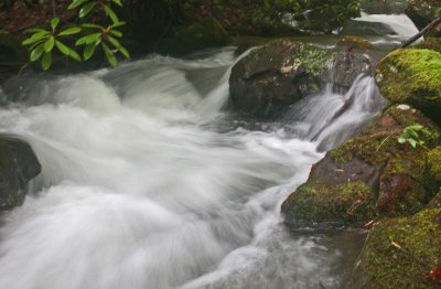 Isolated Stream View in Cranberry Watershed tb0512fpr.jpg