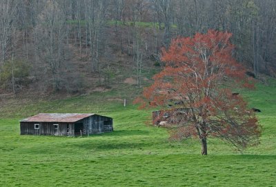 Rural WV Structures and Spring Farm Scenery tb0413ewr.jpg