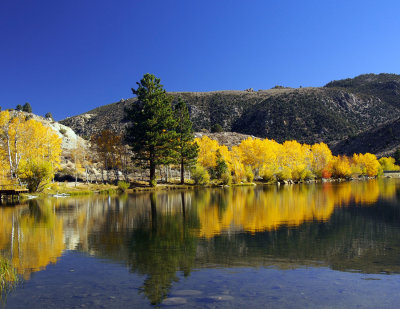 Intake Lake 2.jpg