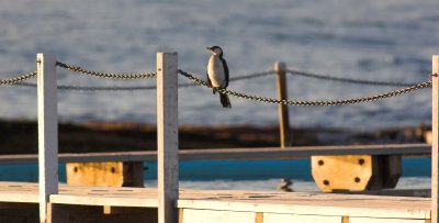 IMG_8019-01.jpg