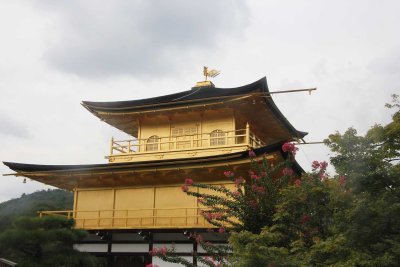 Kinkaku-ji (aka Rokuon-ji), Golden Temple.