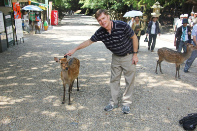 As you can see, the deer are friendly and used to people.