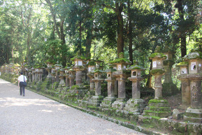 Along the pathway are many stone Japanese lanterns.