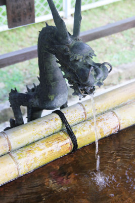 Dragon at Sarusawaike Pond, which is next to the Kohfukuji temple area.