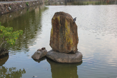 Serene setting with rocks at Sarusawaike Pond.