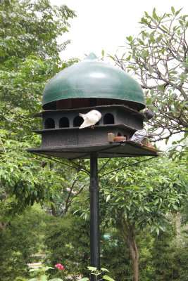 A birdhouse at the fort.