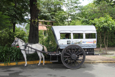 A horse and buggy for tourists.
