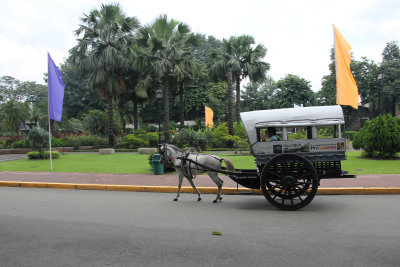 A tourist buggy going by.
