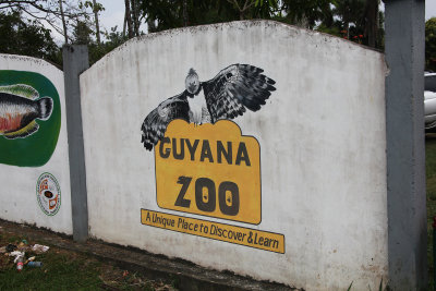 Next to the botanical gardens is the Guyana Zoo.