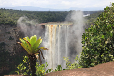 View of the falls from Boyscout's View. The falls look brown from sediment in the water.