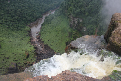 Majestic view looking down at the rainforest below from the top of Kaieteur Falls.