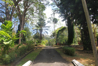 Pathway at the gardens. The gardens were created in 1765 by General Robert Melville, governor of the British Caribbean islands.
