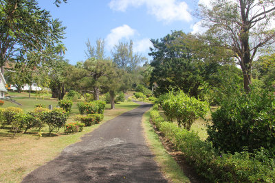 Pathway that passes in front of the curator's house.